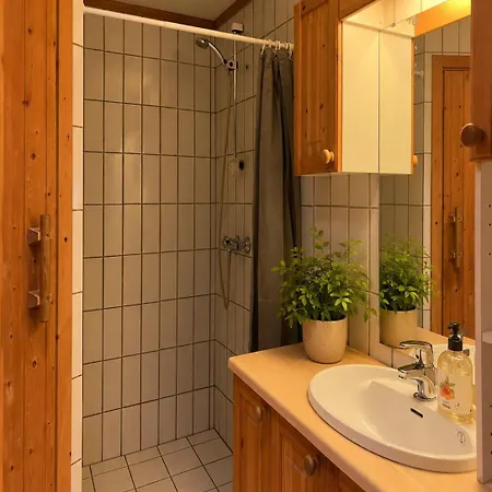 Mountain 4 In Al With Sauna